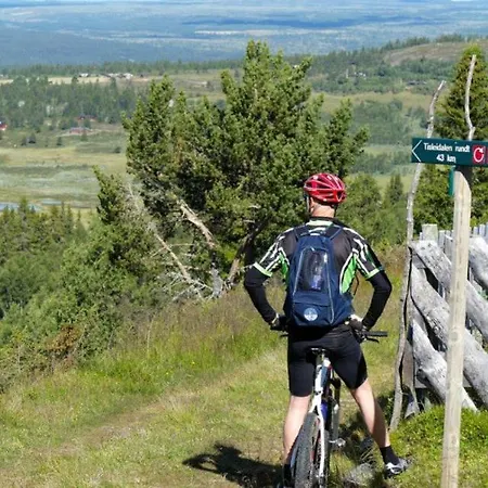 Lifjellhytte 10 By Norgesbooking - At Golsfjellet *