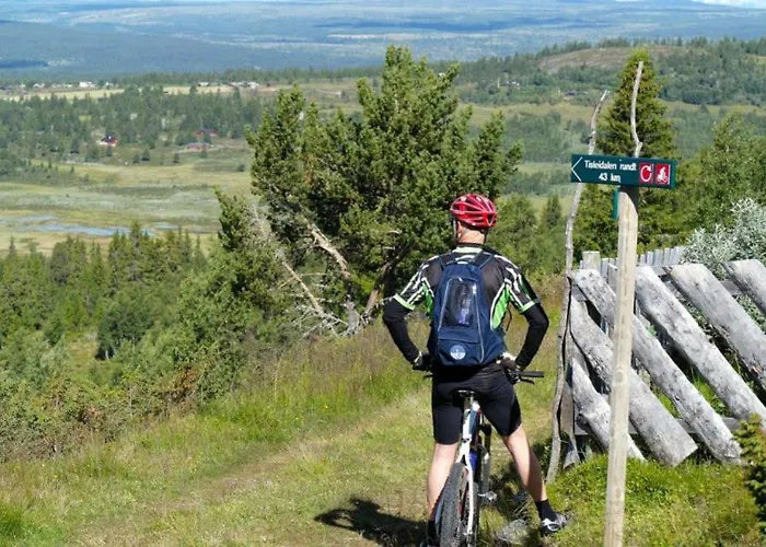 Lifjellhytte 10 By Norgesbooking - At Golsfjellet *