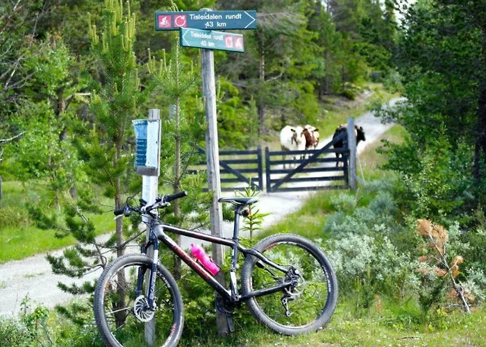Lifjellhytte 10 By Norgesbooking - At Golsfjellet * 高尔