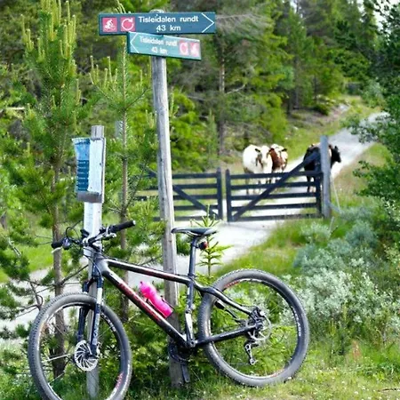 Lifjellhytte 10 By Norgesbooking - At Golsfjellet * Gol